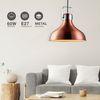 Gsc Evolution Lámpara Colgante Barum | Lámpara De Techo | Color Cobre | Metal | E27 | Luz De Techo Interior