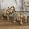 Elefante Set 2 Unidades Signes Grimalt By Sigris