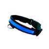 Collar Led Para Perro Iluminación Para Paseos Nocturnos Collar De Color Azul Para Mascota Talla M