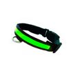 Collar Led Para Perro Iluminación Para Paseos Nocturnos Collar De Color Verde Para Mascotas  Talla S