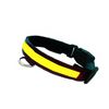 Collar Led Para Perro Iluminación Para Paseos Nocturnos Collar De Color Amarillo Para Mascotas  Talla L