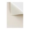 Estor Enrollable Opaco Liso - Medidas Estor: 120x175 - Estor Beige | Blindecor