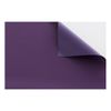 Estor Enrollable Sin Herramientas Easyfix Opaco Liso  Medidas Estor: 42x180  Estor Violeta | Blindecor