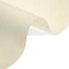 Estor Translúcido Premium A Medida - Estor Translúcido Tamaño 60x165 - Estor Enrollable Color Beige | Blindecor