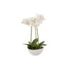 Orquidea Poliester Blanca Con Maceta 24x24x33 Cm