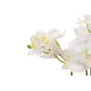 Orquidea Poliester Blanca Con Maceta 24x24x33 Cm