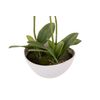 Orquidea Poliester Blanca Con Maceta 24x24x33 Cm