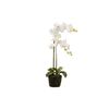 Orquidea Poliester Blanca Con Maceta 34x34x71 Cm