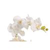 Orquidea Poliester Blanca Con Maceta 34x34x71 Cm