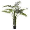 Planta Palmera Areca 80x80x140 Cm