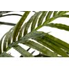 Planta Palmera Areca 110x110x190 Cm