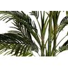 Planta Palmera Areca 110x110x190 Cm