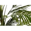 Planta Palmera Areca 110x110x190 Cm