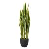 Planta Sansewieria Trifasciata 25x25x85 Cm