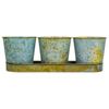 3 Cubos De Metal Y Bandeja Tray Verdes