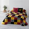 Bouti 100 Gr Hogwarts Cuadros / 280x270 Cm