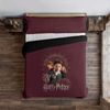 Funda Nórdica Harry Potter Microsatén Gryffindor Bond / 260x240 Cm