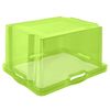 2 Caja De Almacenaje Multiusos Plástico Keeeper Franz 43x35x23 Cm Verde