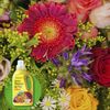 3x Abono Liquido Para Rosas Y Plantas Con Flor 1 Litro