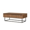 Mesa De Centro Metal  Wellhome 120x43x60 Cm Nogal Y Negro