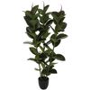 Planta Artificial De Ficus Robusta L.40 X P.40 X A 120, Verde