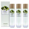 3x Frasco 150 Ml Caravan Arome De Fleur Bergamota