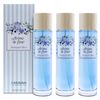 3x Frasco 150 Ml Caravan Arome De Fleur Bouquet Bleu