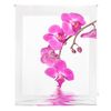 Estor Enrollable Happystor Estampado Digital Zen Hscz39344 115x250