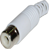 Bematik - Conector Rca-h (blanco) Cm01200