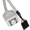 Bematik - Cable Usb 2.0 5-pin A Bh 30cm (5p-h/b-h) Ub02200