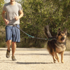 Primematik - Correa Ajustable Para Perros De Jogging 160-220 Cm. Correa Manos Libres Elástica Y Reflectante Con Cinturón Ma16000