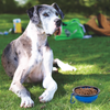 Primematik - Comedero Plegable De Goma Para Mascotas 350 Ml Azul Ma14700