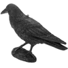 Primematik - Ahuyentador De Aves Tipo Estatua Cuervo De Pie 16 X 50 Cm Ah04000