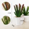 Pack 6 Cactus Cereus Surtidos Artificiales Con Maceta Wellhome