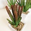 Pack 6 Cactus Cereus Surtidos Artificiales Con Maceta Wellhome