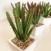 Pack 6 Cactus Cereus Surtidos Artificiales Con Maceta Wellhome