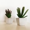 Pack 6 Cactus Cereus Surtidos Artificiales Con Maceta Wellhome