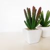 Pack 6 Cactus Cereus Surtidos Artificiales Con Maceta Wellhome