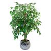Ficus Artificial 105 Cm
