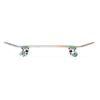 Skateboard Completo Unisex Crandon By Bestial Wolf Northzone Palm