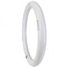 Tubo Led 18w 1.500lm 6000ºk Circular Ø30cm 40.000h [ea-dy-ci-300-18w-cw]