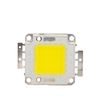 Led High Power 100w 8.100lm 3000ºk Cob30 50.000h [ch-led-100w-30mil-ww]