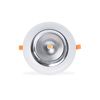 Downlight Led Especial Para Pescaderías - 30w - Corte Ø210 Mm