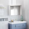 Armario De Baño Con Espejo De Mdf Vidrio Homcom 80x15x60 Cm-blanco