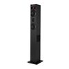 Sky Charmn 2.1: Torre De Sonido 80w Con Tecnología Bluetooth...