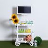 Carrito Candy Bar Madera Envejecida Watermelon