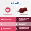 Vitaldin Cranberry Gummies – 500 Mg De Extracto De Arándano Rojo Por Dosis + Zinc – 70 Gominolas Veganas – Complemento Alimenticio Tracto Urinario