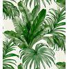 Papel Pintado Vinílico Lavable Tropical Hojas Plantas Verde Textura Óleo 3d - Habana Tropical 676369 De Gaulan - Rollo De 10 M X 1,06 M