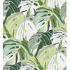 Papel Pintado Vinílico Ecológico Hojas Tropicales Verdes - Tropical Island 680771 De Gaulan - Rollo De 10 M X 0,53 M