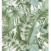 Papel Pintado Lavable De Hojas Tropicales Verde Y Blanco - Maldivas Tropical 682357 De Gaulan - Rollo De 10 M X 0,53 M